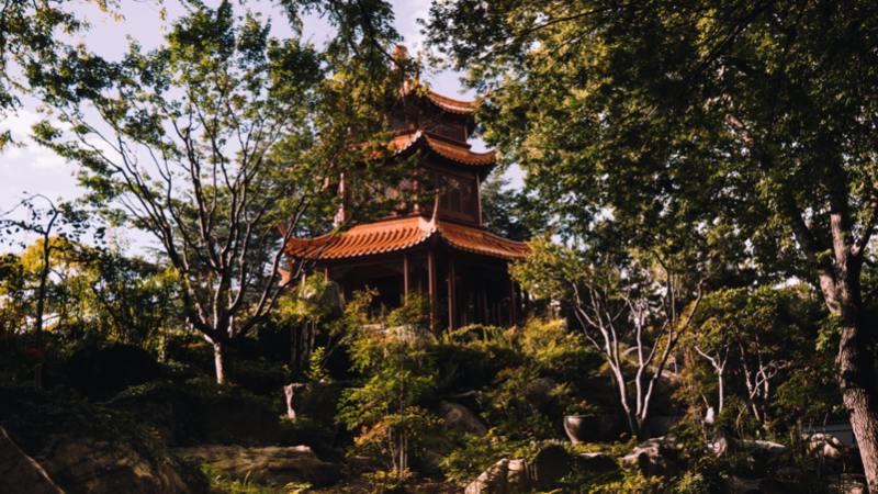Traditional pagoda peeks through lush greenery under a bright sky, becoming one of the best neighbourhoods in Sydney to explore.