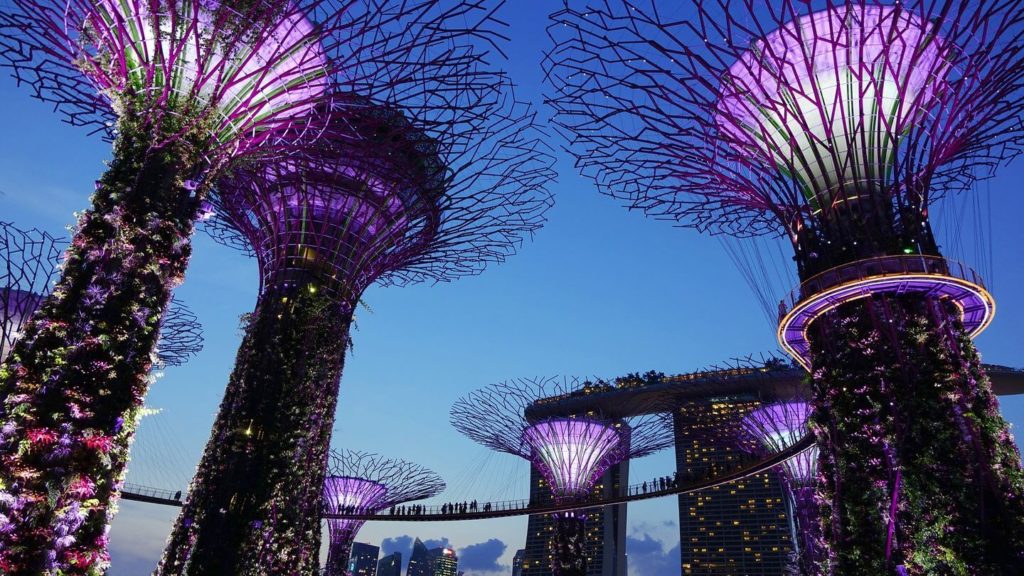 Illuminated supertrees at Gardens by the Bay, a perfect family getaway spot with Marina Bay Sands in the background during dusk in Singapore.