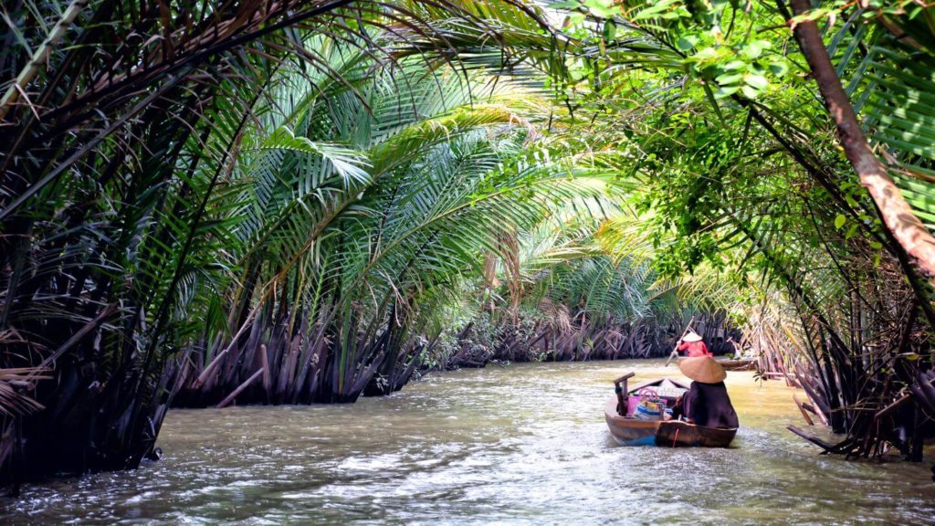 A person wearing a conical hat paddling a small boat through a dense mangrove tunnel during one of the world’s best river cruises.