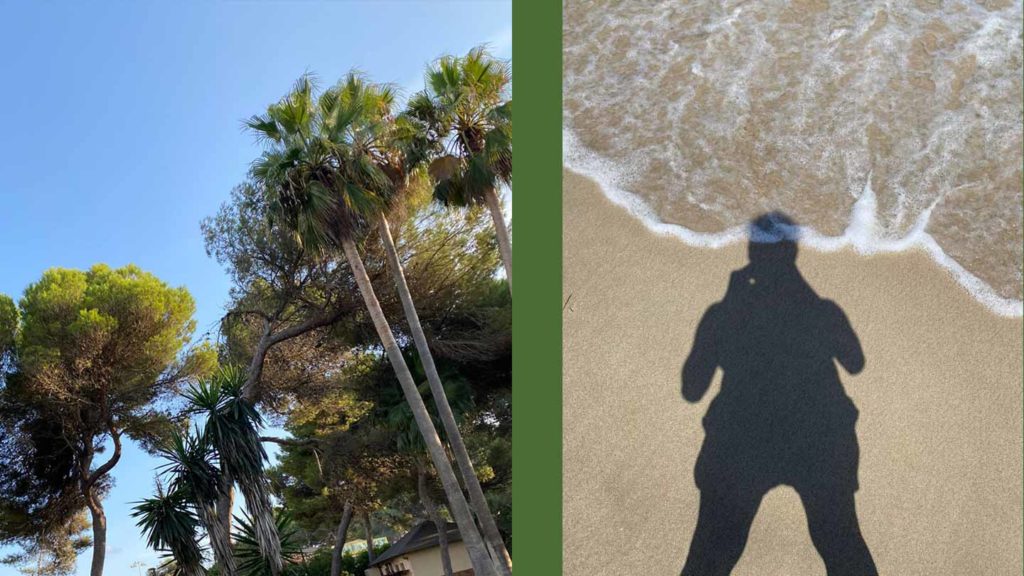 Palm trees against a clear sky on the left, and the shadow of a person on a sandy beach with an approaching wave on the right.
