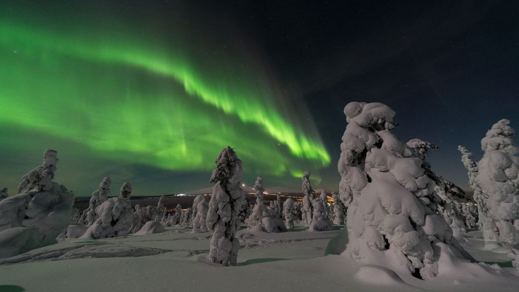 Aurora borealis illuminating the night sky above snow-covered trees during your Christmas holiday travel.