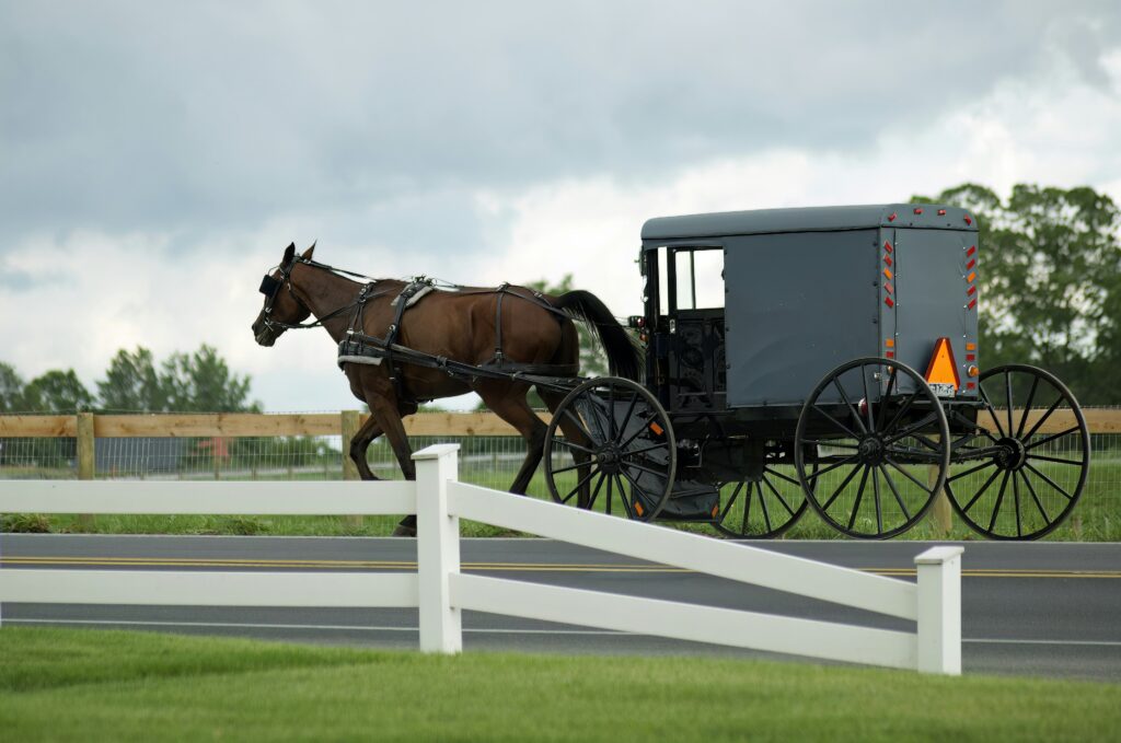 A horse pulling a buggy down a quiet road in Lancaster's Amish Country, Pennsylvania.