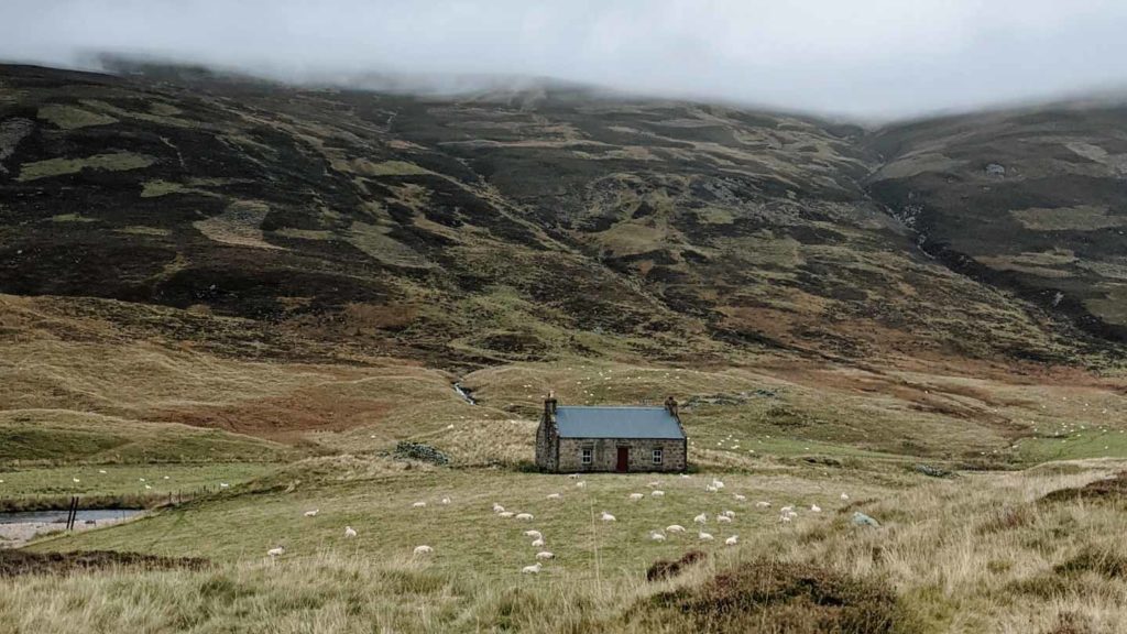 An isolated cottage sits in a misty, hillside landscape with sheep grazing nearby.