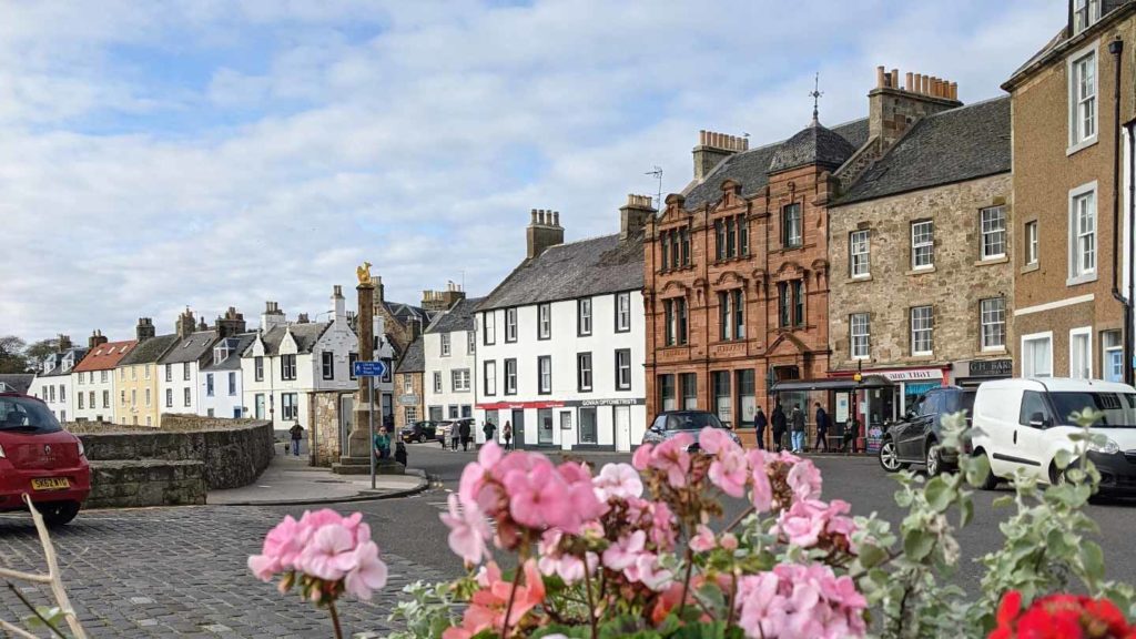 A view of a quaint town street lined with traditional buildings, featuring blooming pink flowers in the foreground.