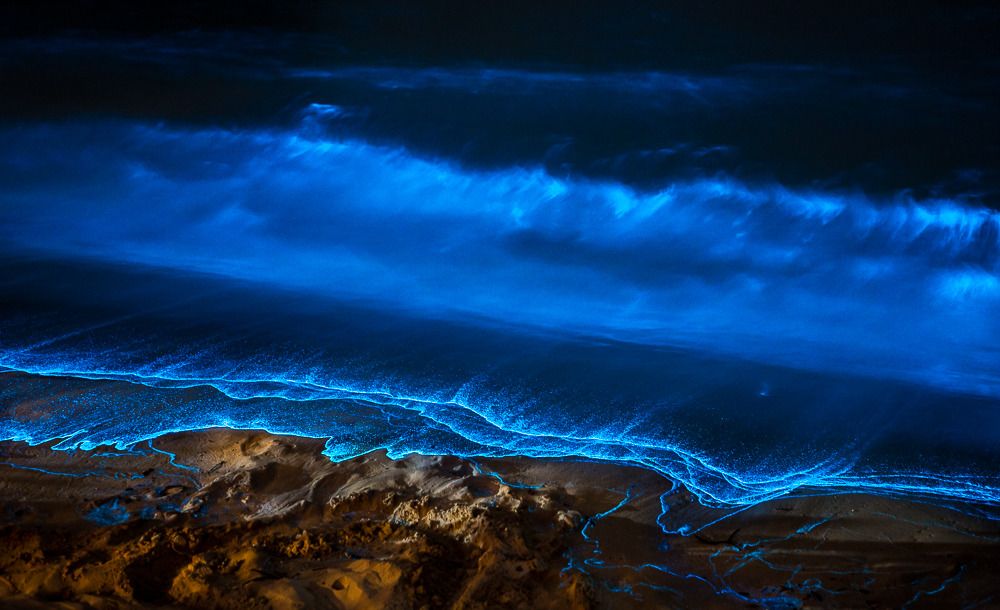Halong bay Vietnam bioluminescence