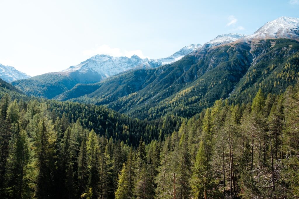 Swiss national park 