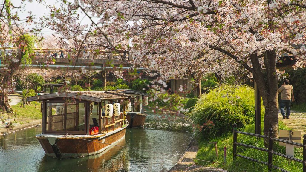 Traditional wooden boat floating under cherry blossoms on a canal in Japan, with people strolling along the path beside the water during a bucket list event.