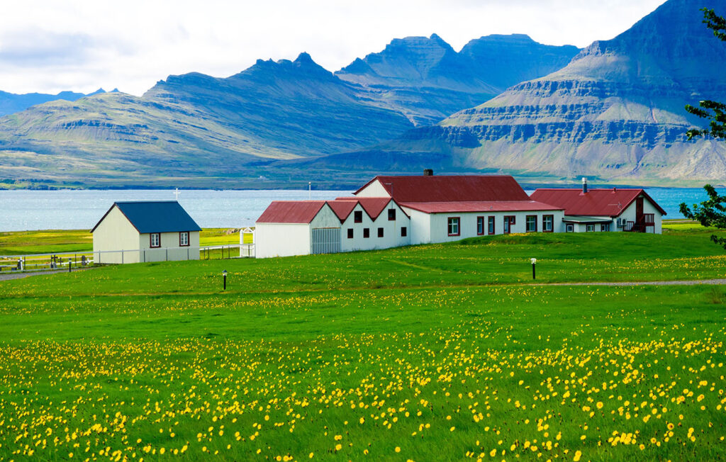 Iceland scenery