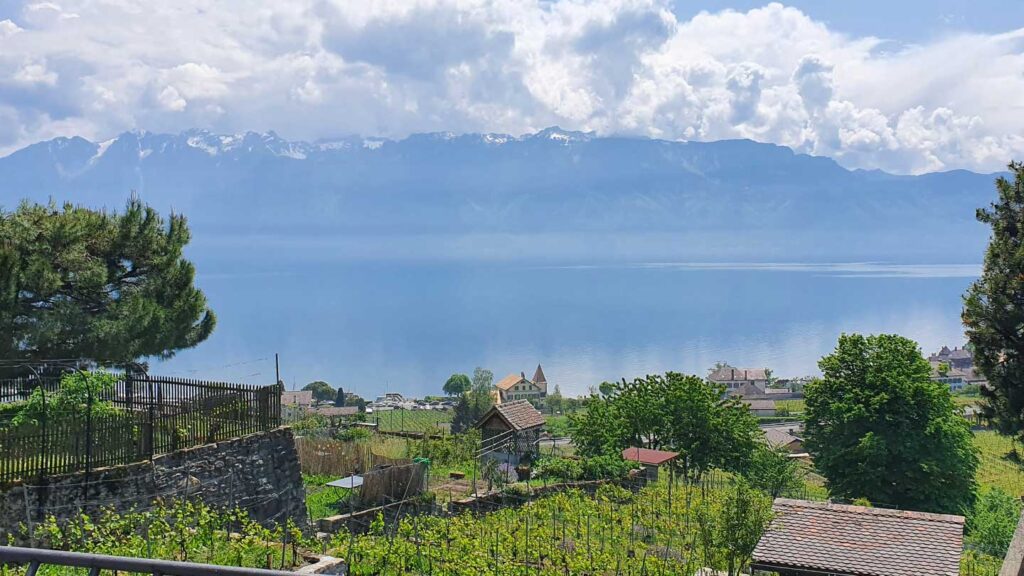 A scenic view of a lake with a mountain range in the background, and a village surrounded by trees and vineyards in the foreground, expertly described by a Trafalgar travel director.