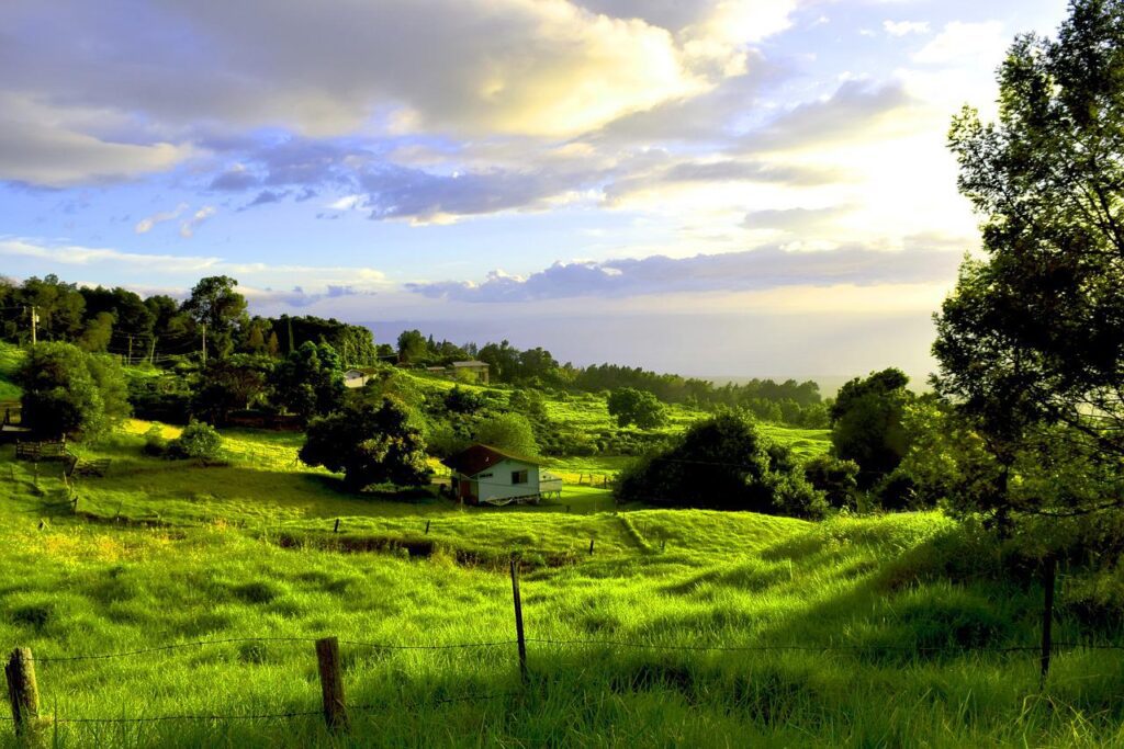 adventure family travel in Maui farm