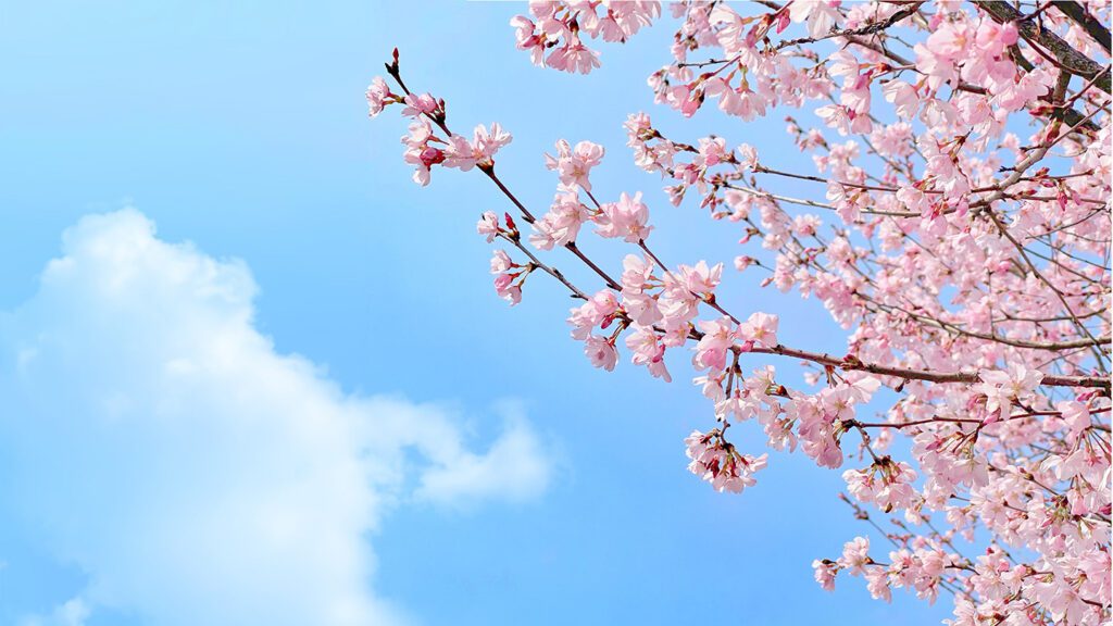 spring