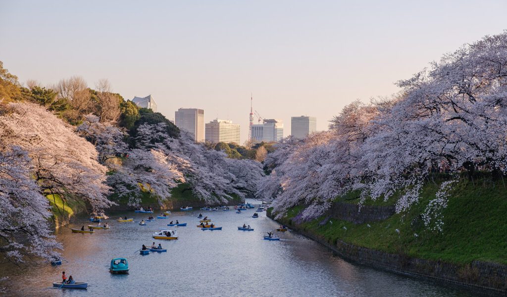 river in Tokyo