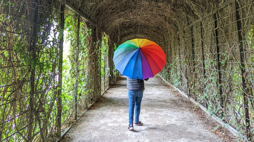 Person with a colorful umbrella walking through a green, vine-covered tunnel in imperial Europe.