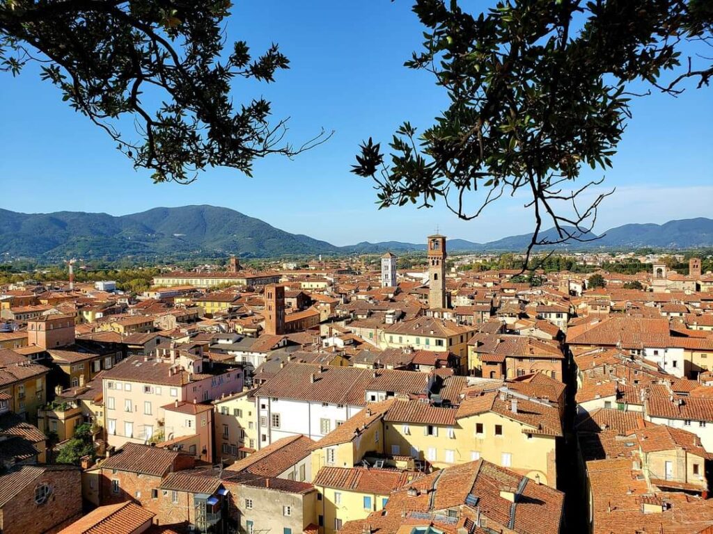 View of a historic town in Italy with terracotta rooftops, a prominent clock tower, and surrounding green hills, framed by tree branches in the foreground.