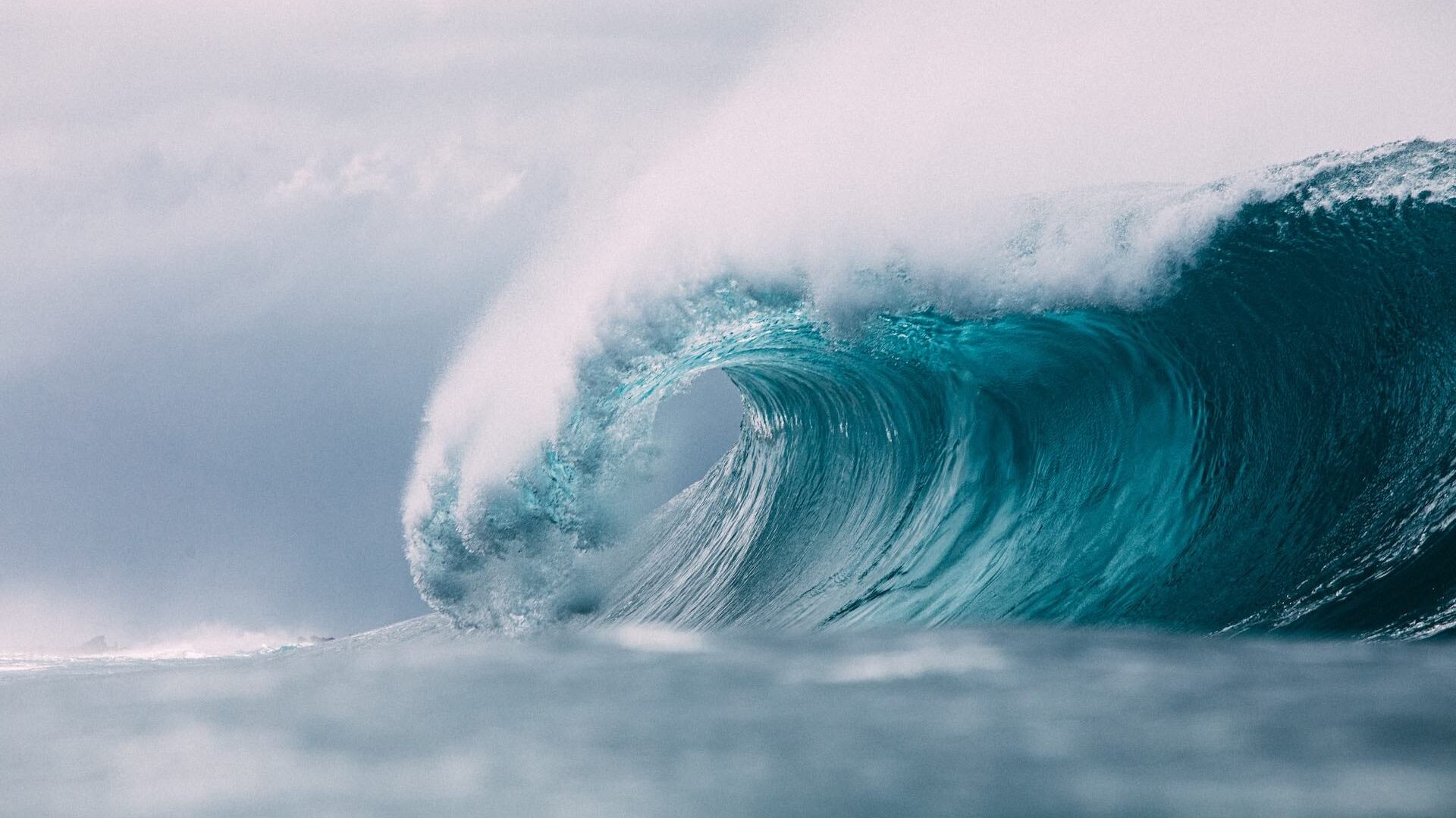wave in ocean