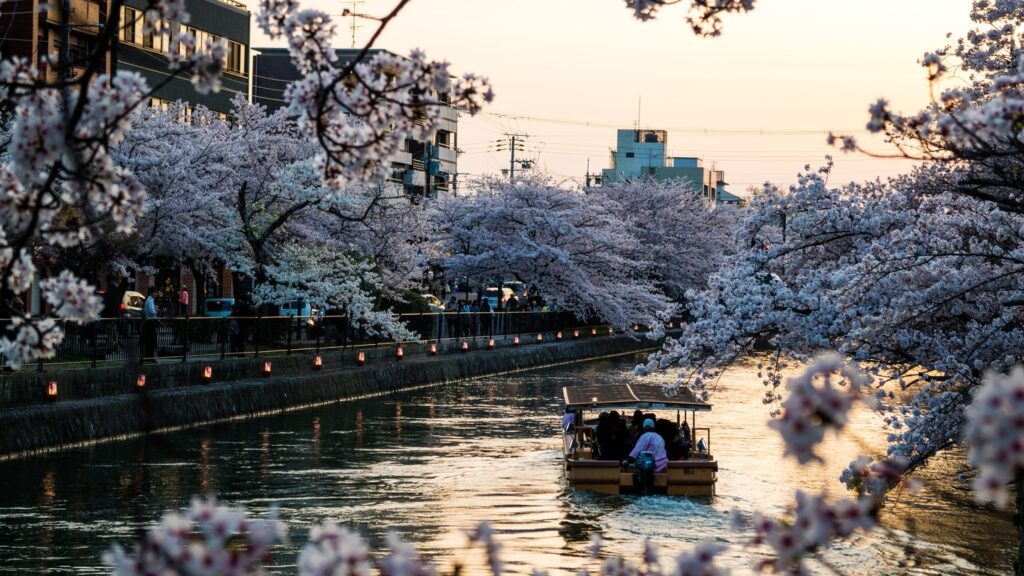 Kyoto Japan