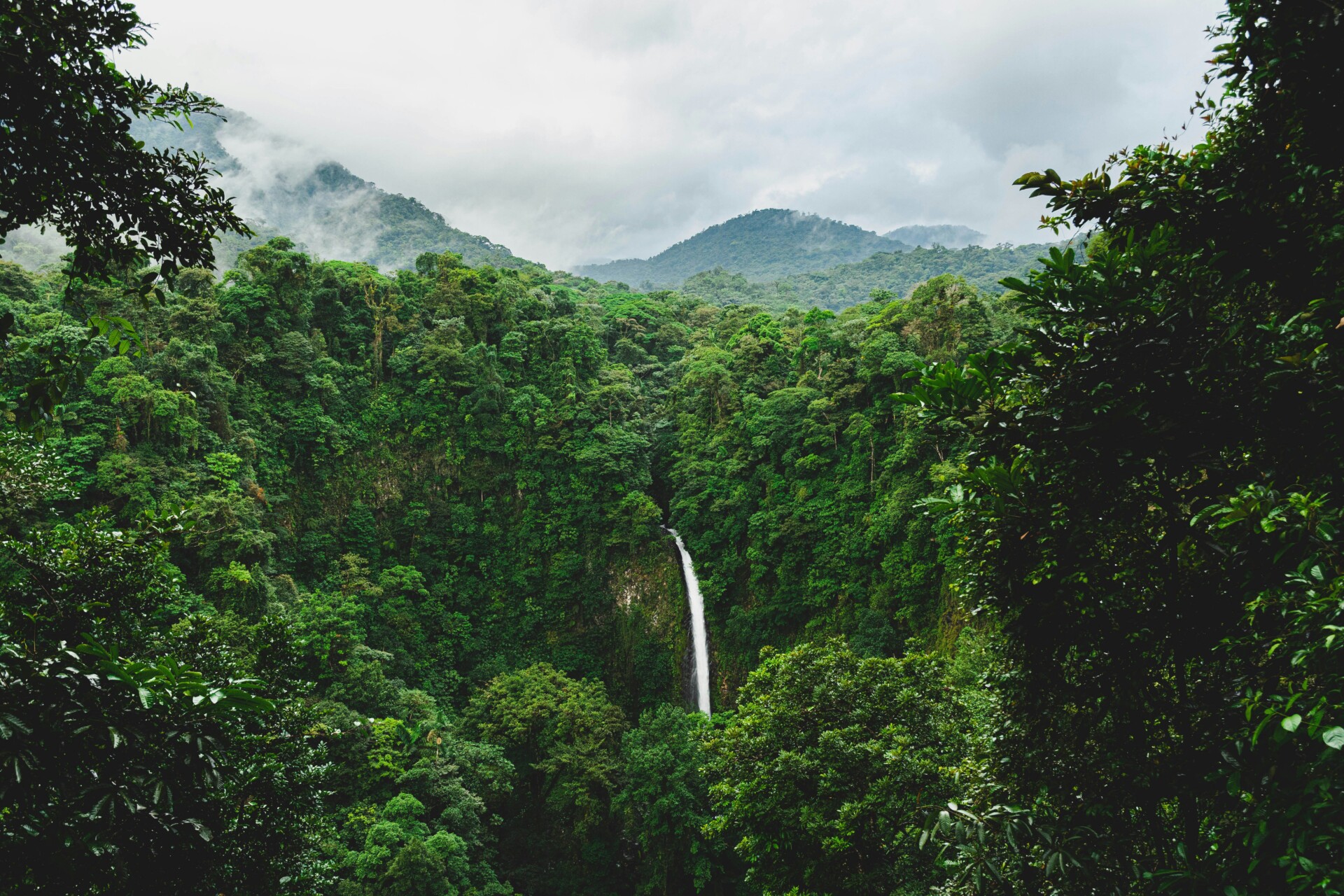 Forest landscape with waterfall 