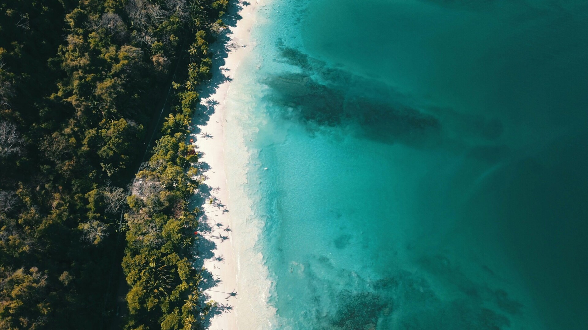 costa rica beach