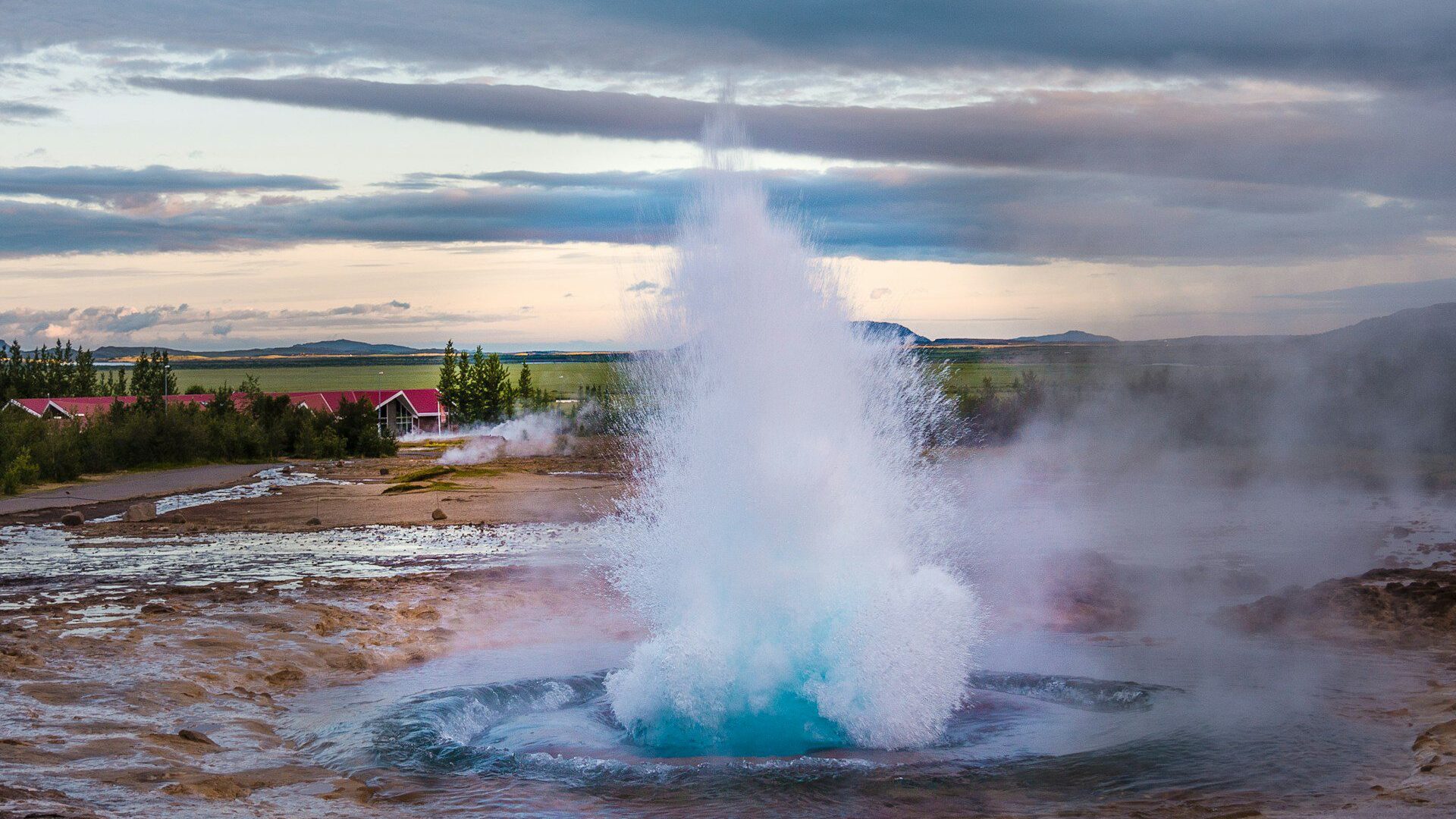 Geysire in Iceland