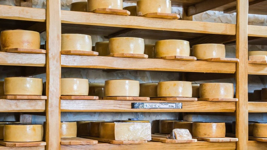 blocks of Croatian Pag cheese