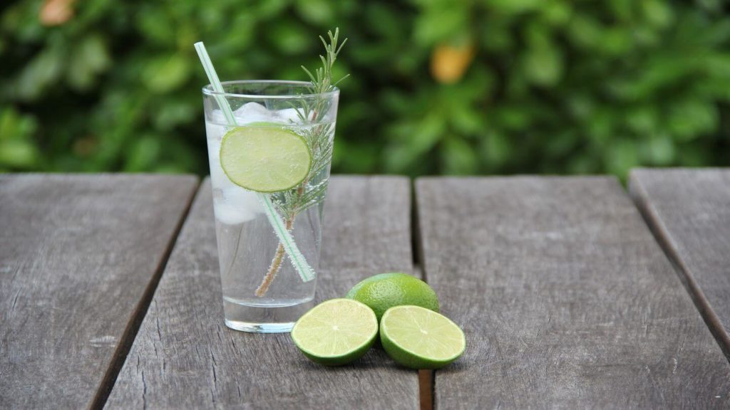gin cocktail fun facts about the netherlands