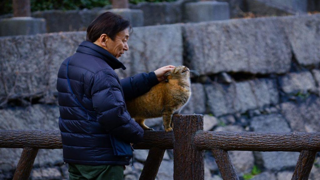 Japanese man petting a cat